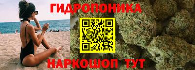 apvp Краснодар