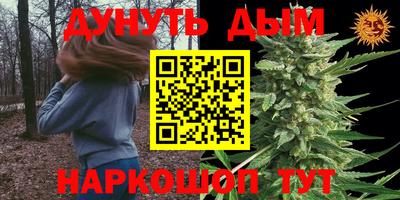 молекула духа Краснознаменск